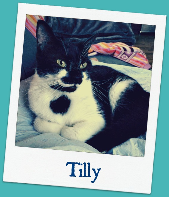 Tilly