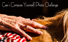 banner-compose-yourself-challenge2 (2)