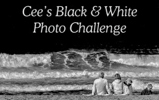 Cee's BW Photo Challenge