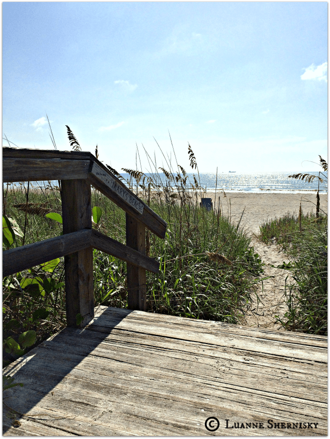 Photo DayOne HOME.png