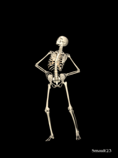 skeleton_gif