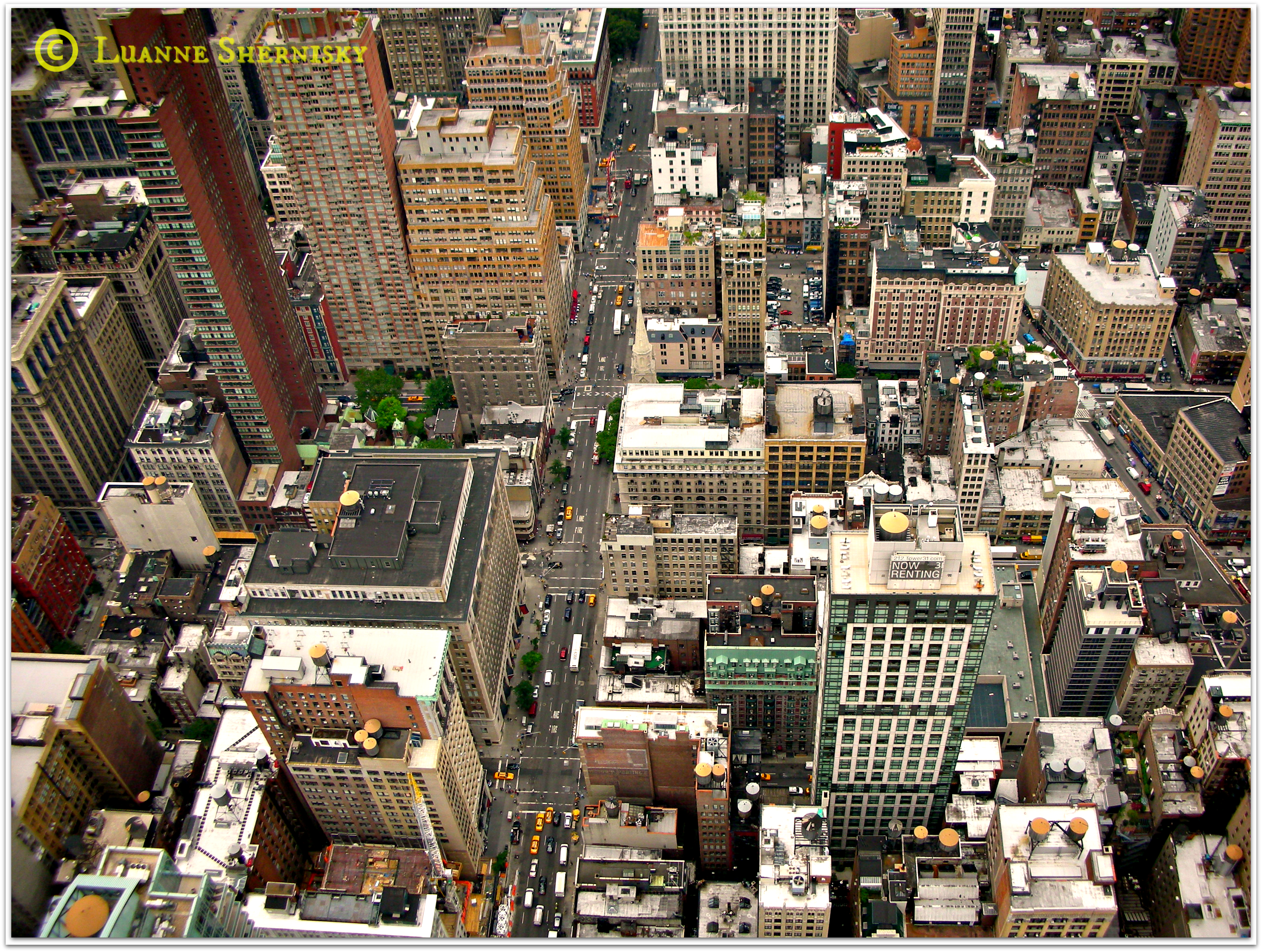 Scale Observation.png