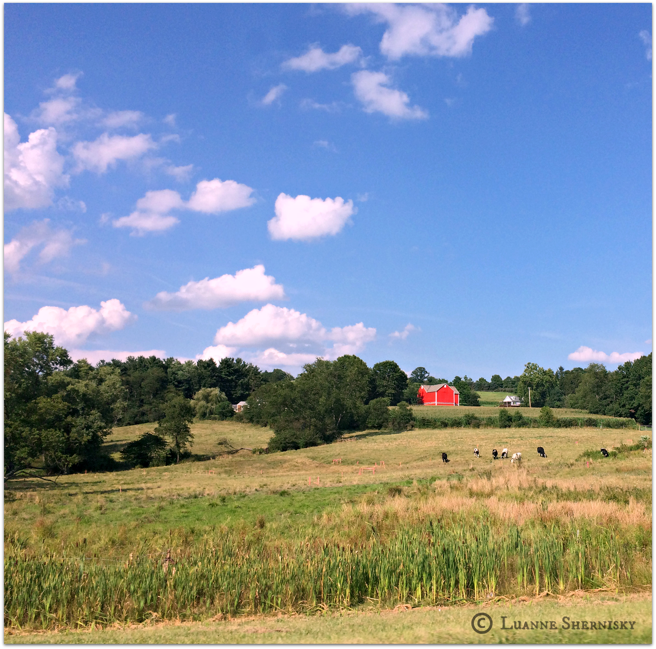 Landscape of red barn set against green background and blue sky