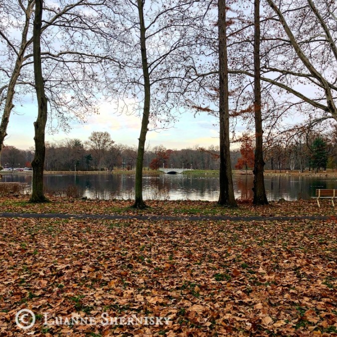 Park_Autumn