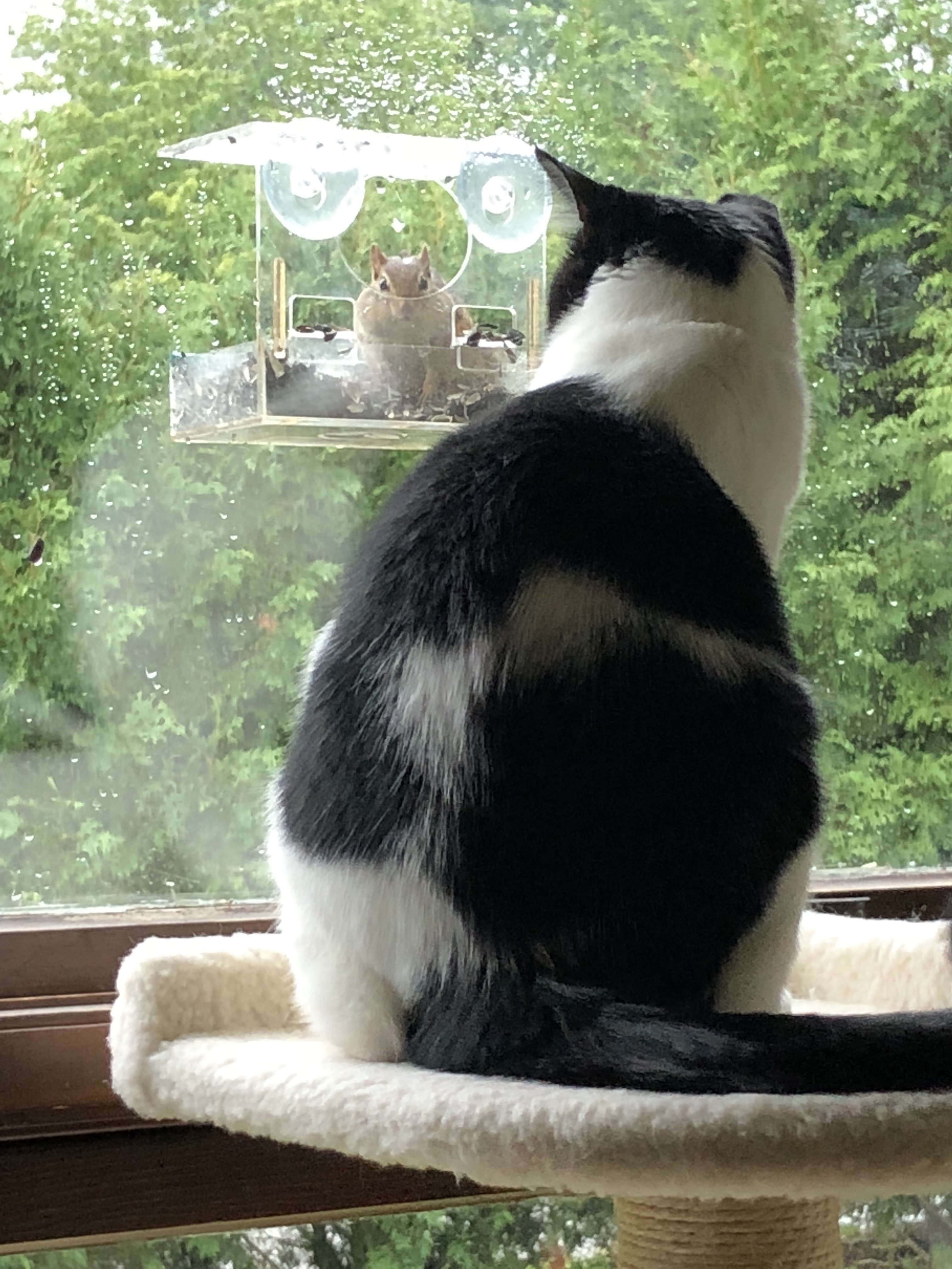 n79kUwDGS62RIGwfUdptBw