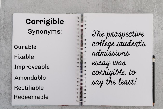 Notebook with synonyms & usage for corrigible
