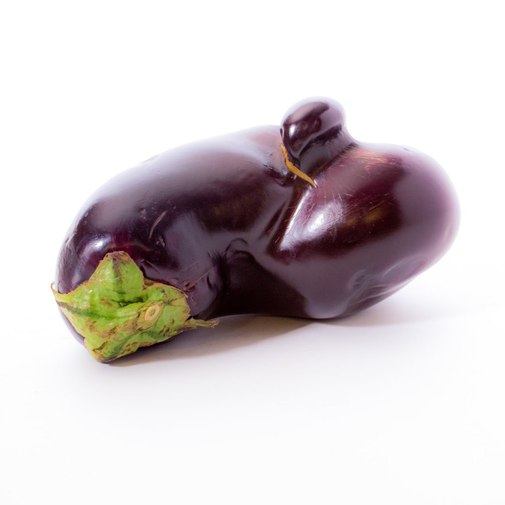 misshapen eggplant that is discarded due to irregular shape and appearance